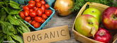 organic data organic data
