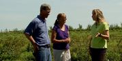 Blue Fruit Farm Blue Fruit Farm