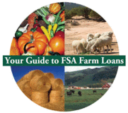 FSA loan PDF